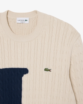 Intarsia Cable Knit Sweater