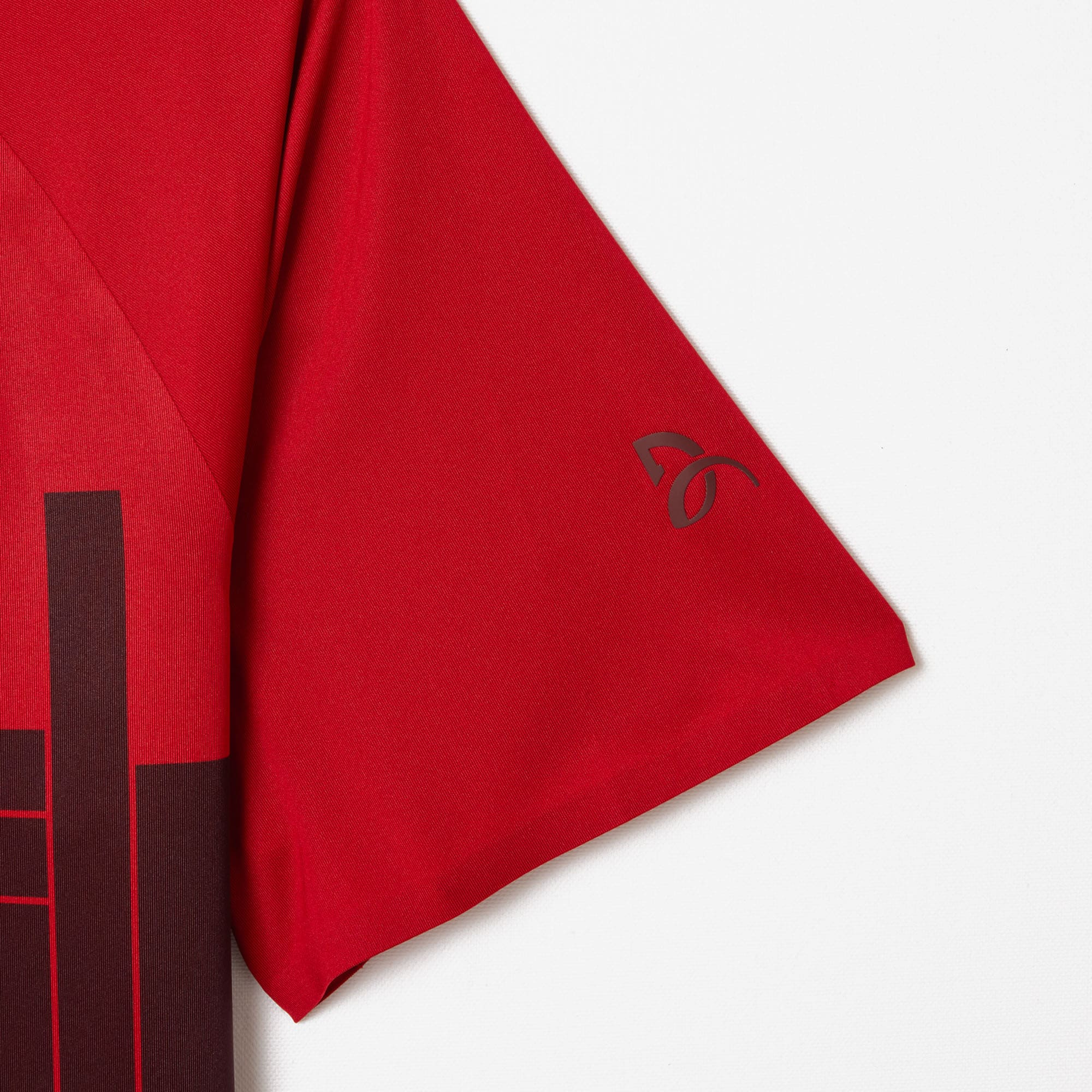 Men's Lacoste Tennis x Novak Djokovic Regular Fit Player