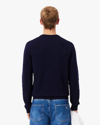 Men's Cotton V-Neck Sweater