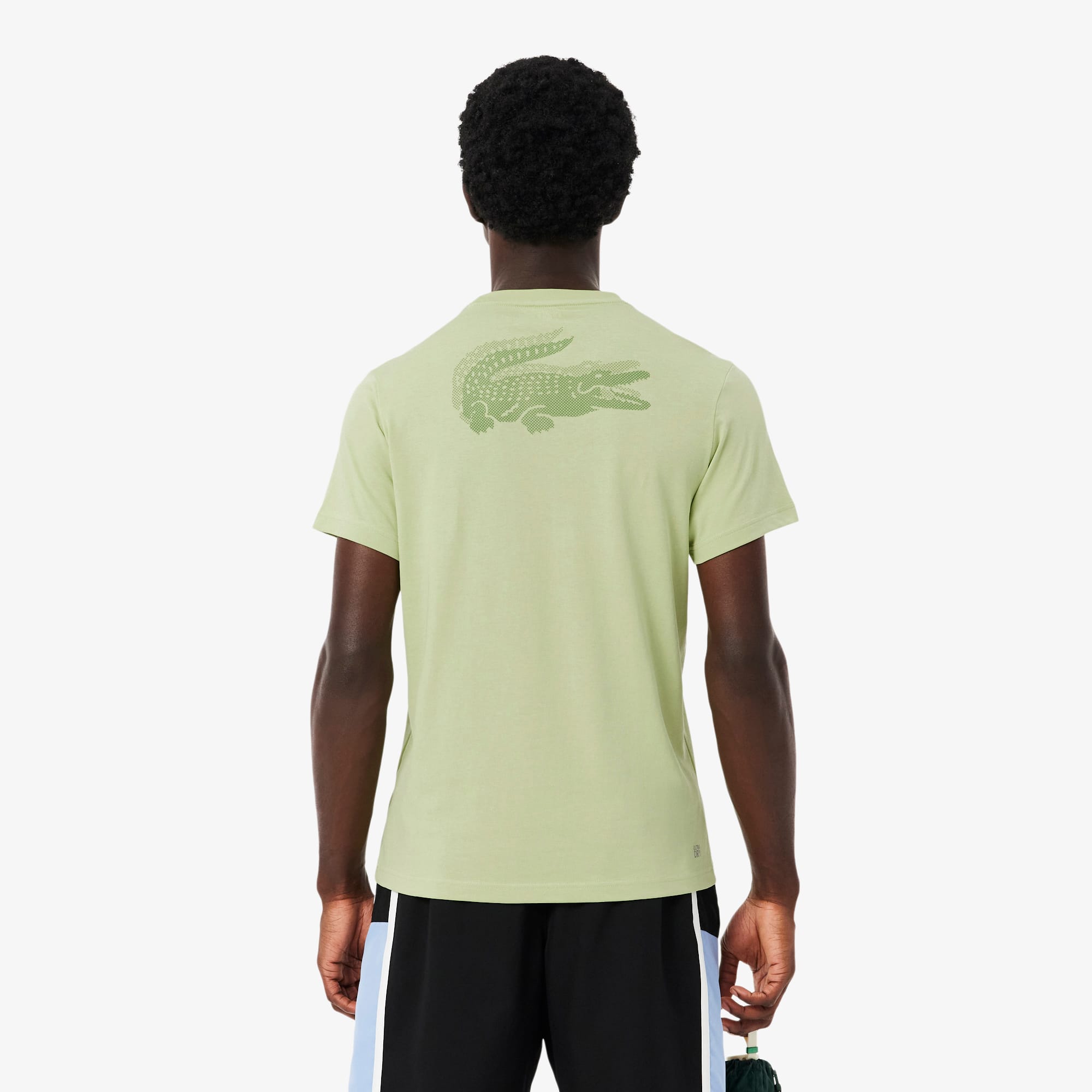 Ultra Dry Crocodile Graphic Sport T-shirt - Men's Collection - New