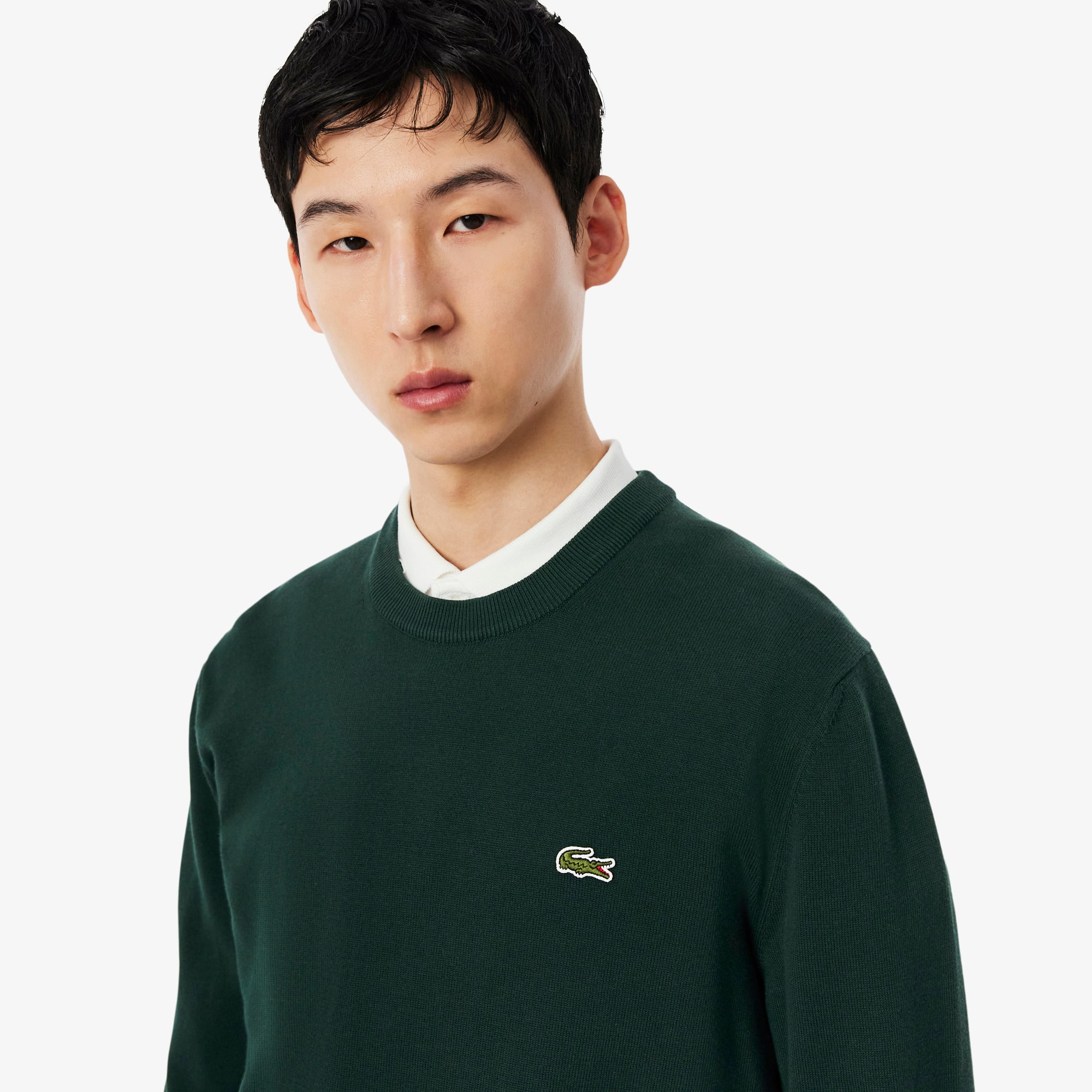 Men's Crew Neck Cotton Sweater - Sweaters & Sweatshirts - New In