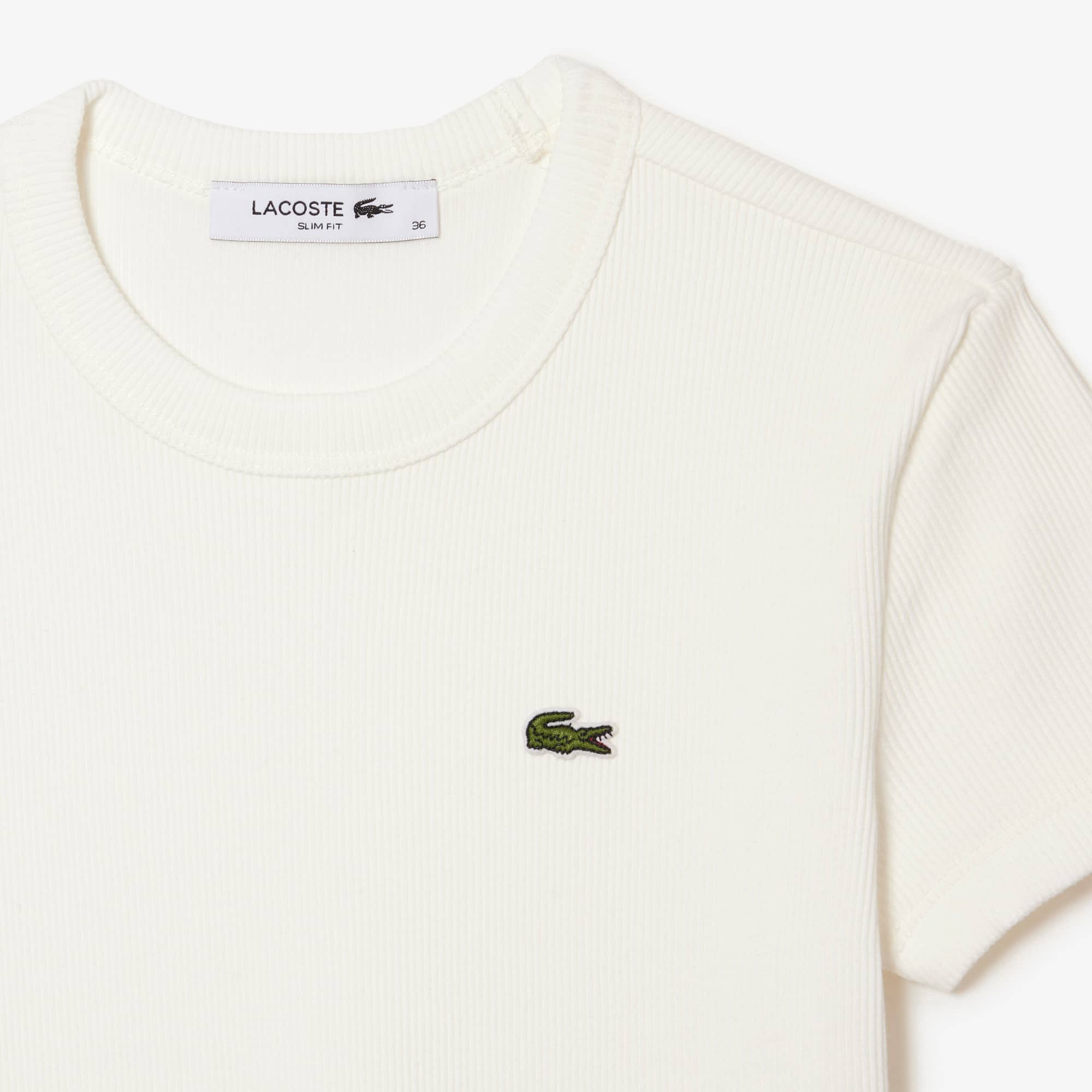 ★LACOSTE★ Women's Training Basic T-Shirt White TF9246-54G0 WOMEN'S LACOSTE T-SHIRT - LACOSTE - Women's - Clothing