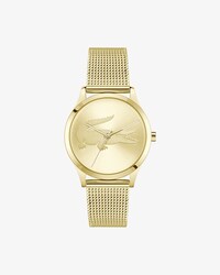 Crocodelle Steel Watch