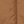 Brown / Black