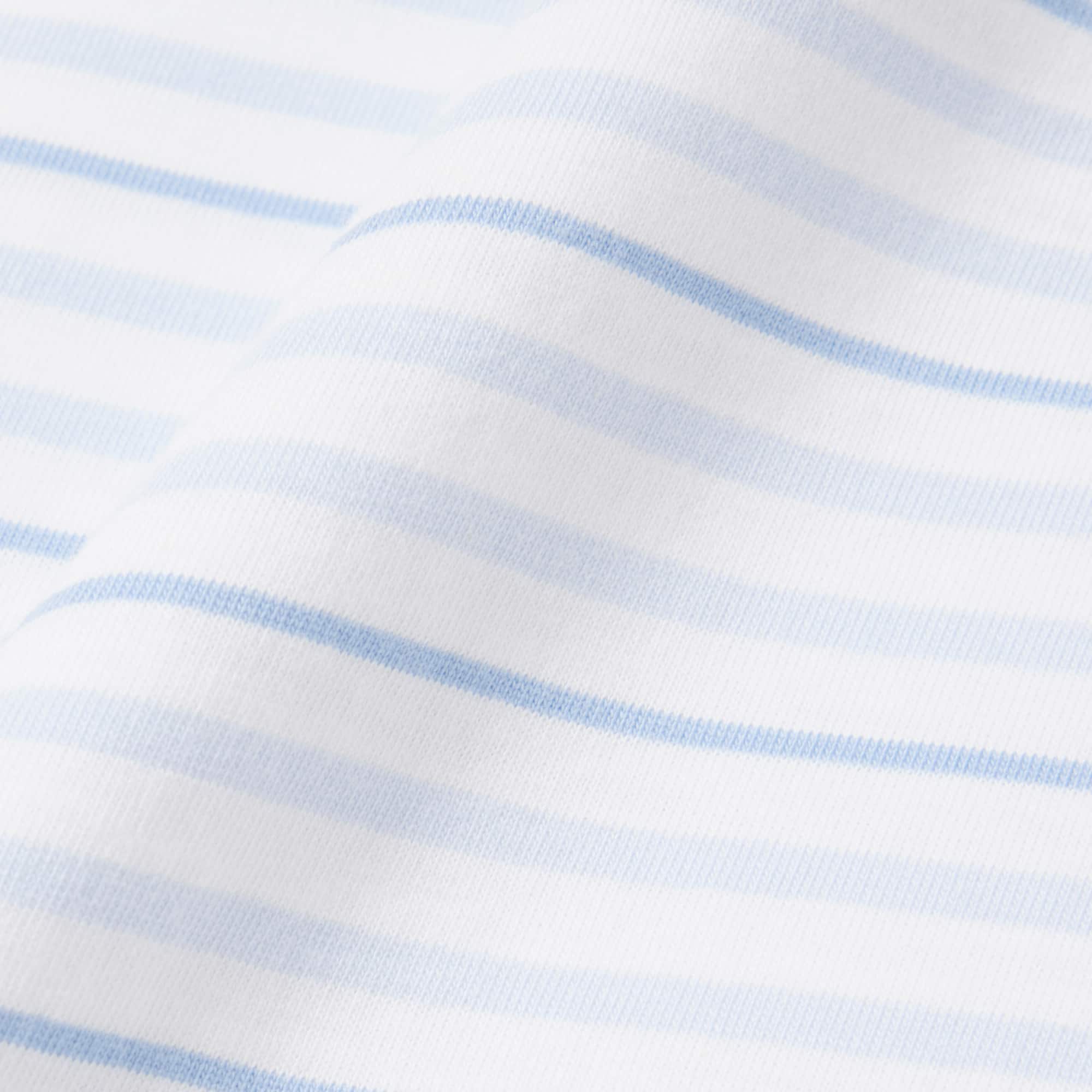 Striped Cotton T-shirt - Men's Collection - New In 2026 | Lacoste
