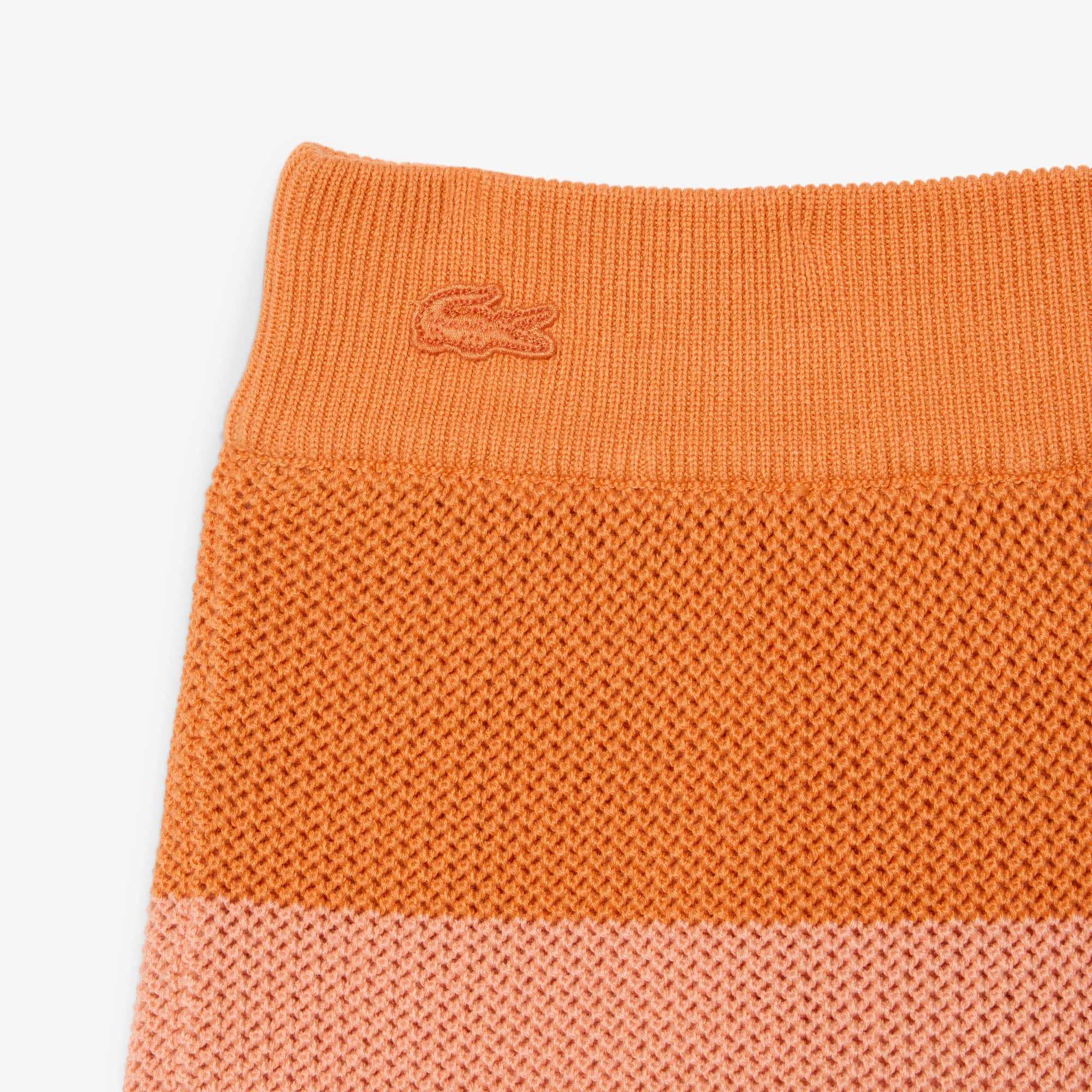 Striped Mesh Knit Shorts