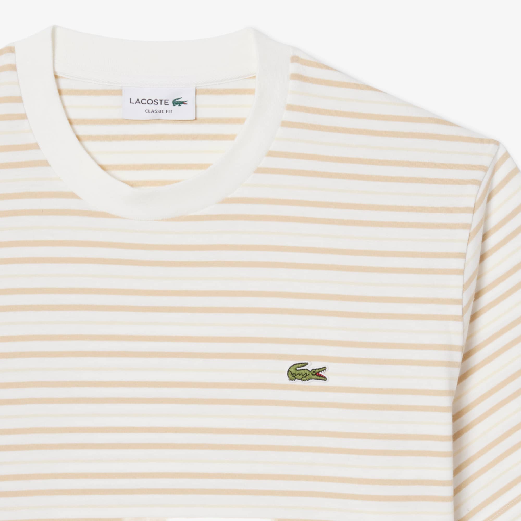 Striped Cotton T-Shirt