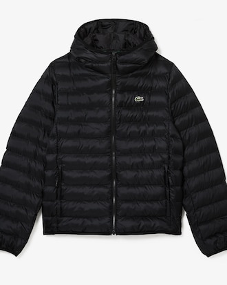 Men's Quilted Hooded Puffer Jacket