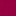 Rose Fushia