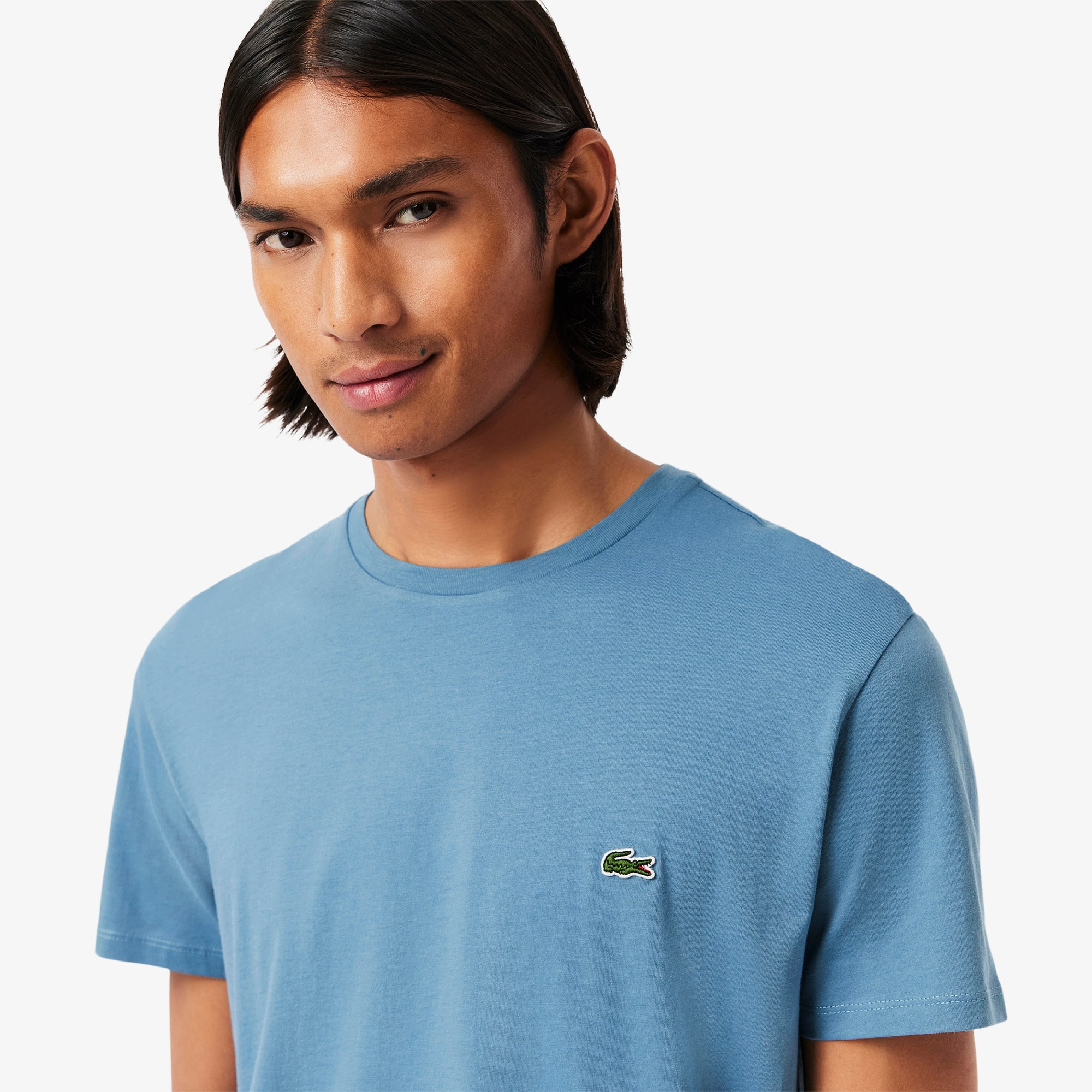 Tシャツ・カットソー LACOSTE Men T-shirt Avion TH6709 HD9 LACOSTE Men T-shirt Avion TH6709 HD9 (LACOSTE/Tシャツ