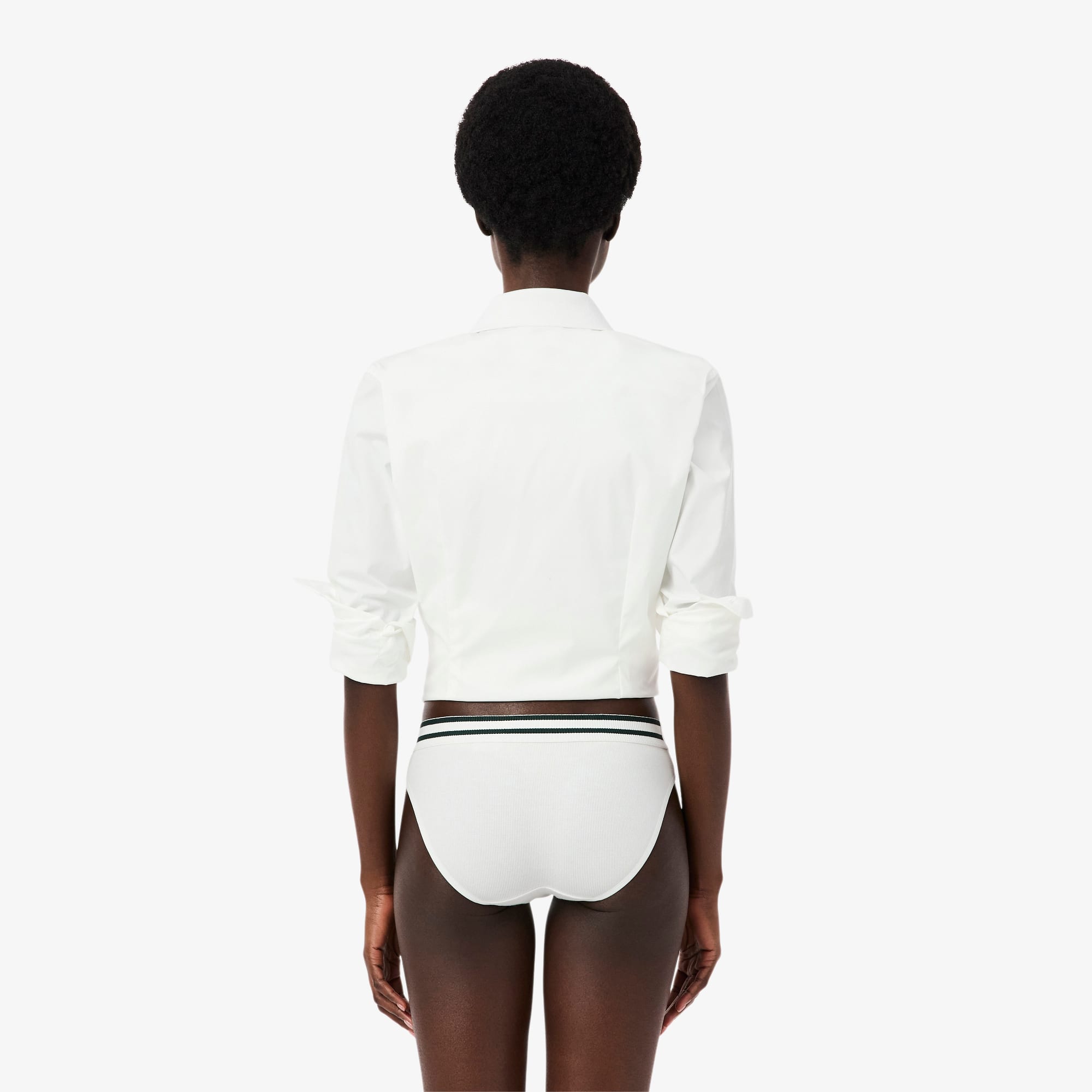Stripe Waist Cotton Briefs