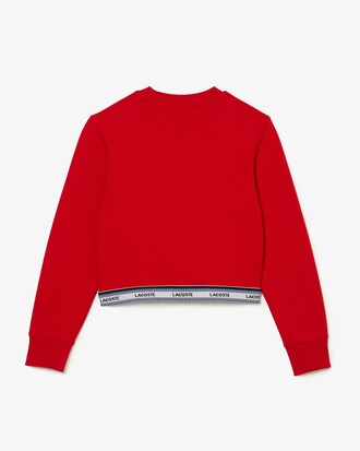 Girls' Lacoste Printed Band Short Sweatshirt