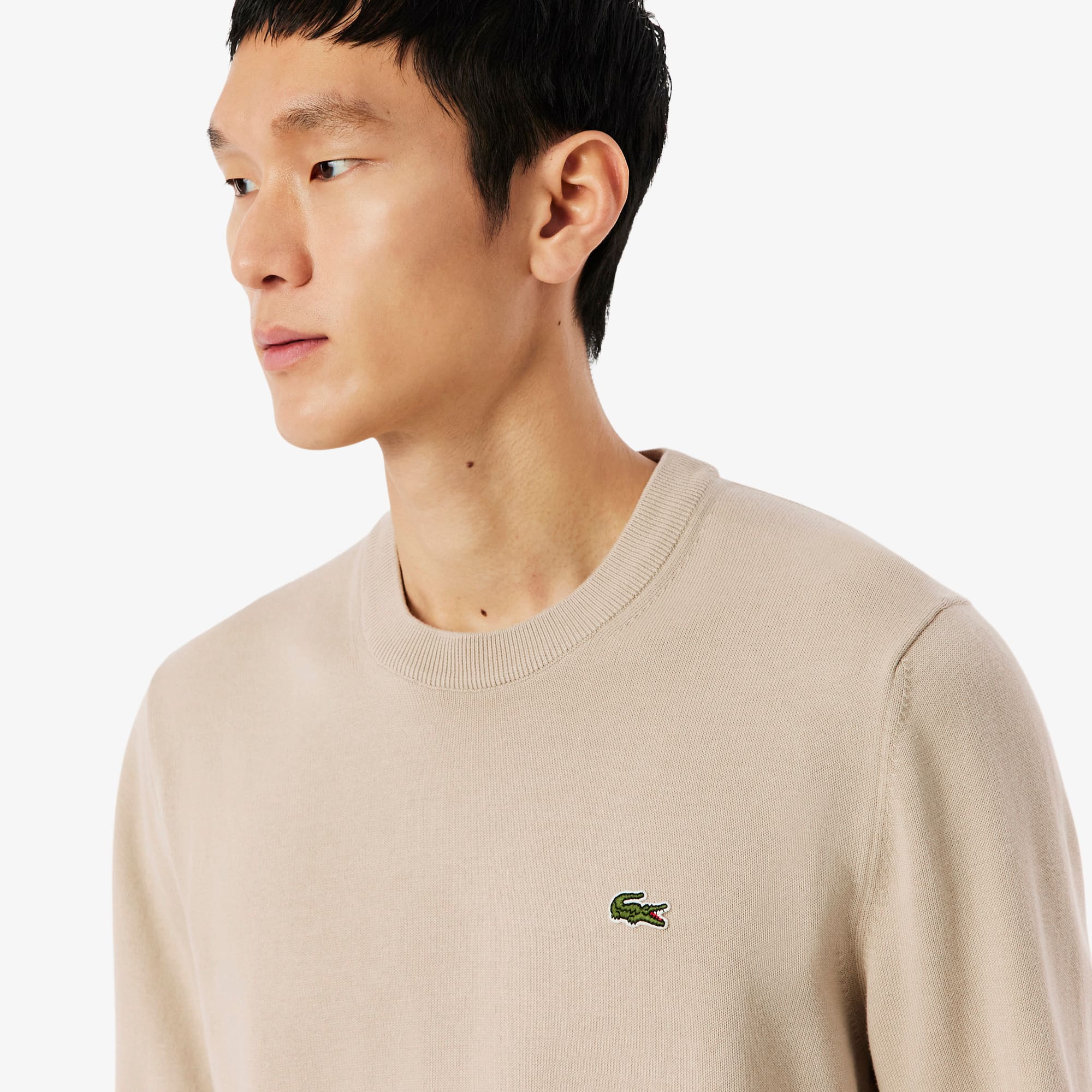 Men's Crew Neck Cotton Sweater - Sweaters & Sweatshirts - New In