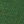 Green / Navy Blue / White