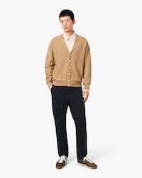 Slim Fit Cotton Chino Pants