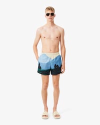 Men's Short Landscape Print Swim Trunks