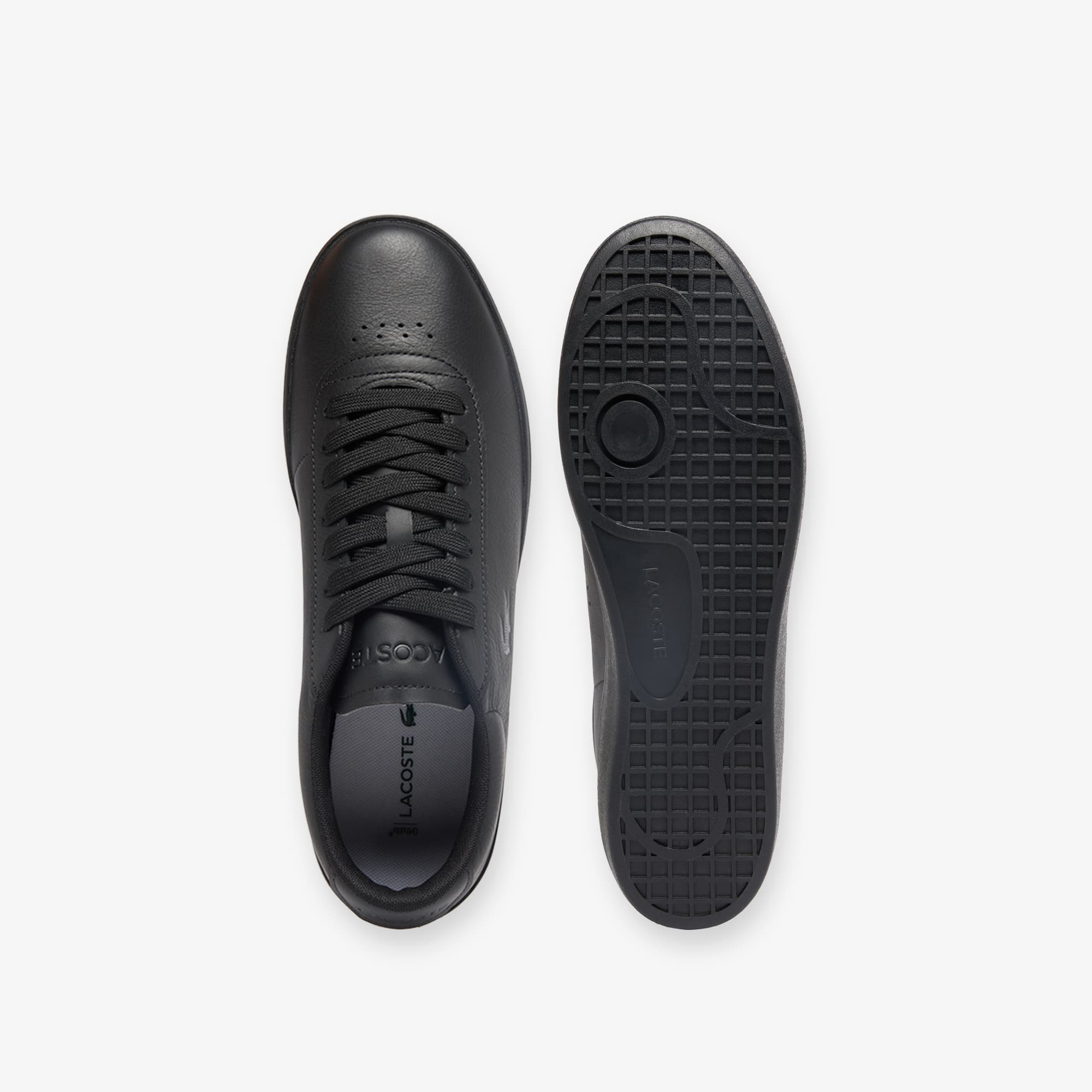 Men's Baseshot Evo Leather Sneakers - Sneakers - New In 2026 | Lacoste