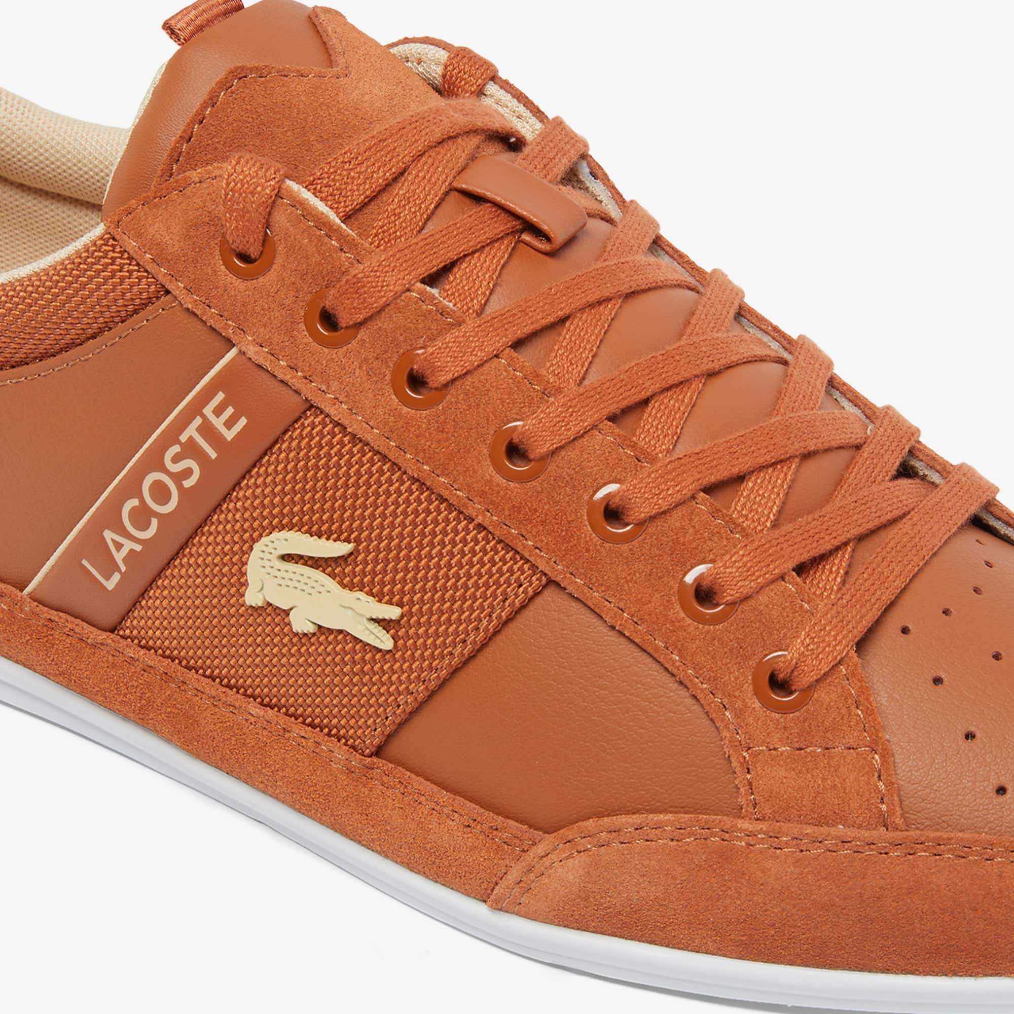 【関税&送料込】Lacoste Sneakers Amazon.com | Lacoste T-CLIP WNTR 222 2 SMA Men's Sneakers