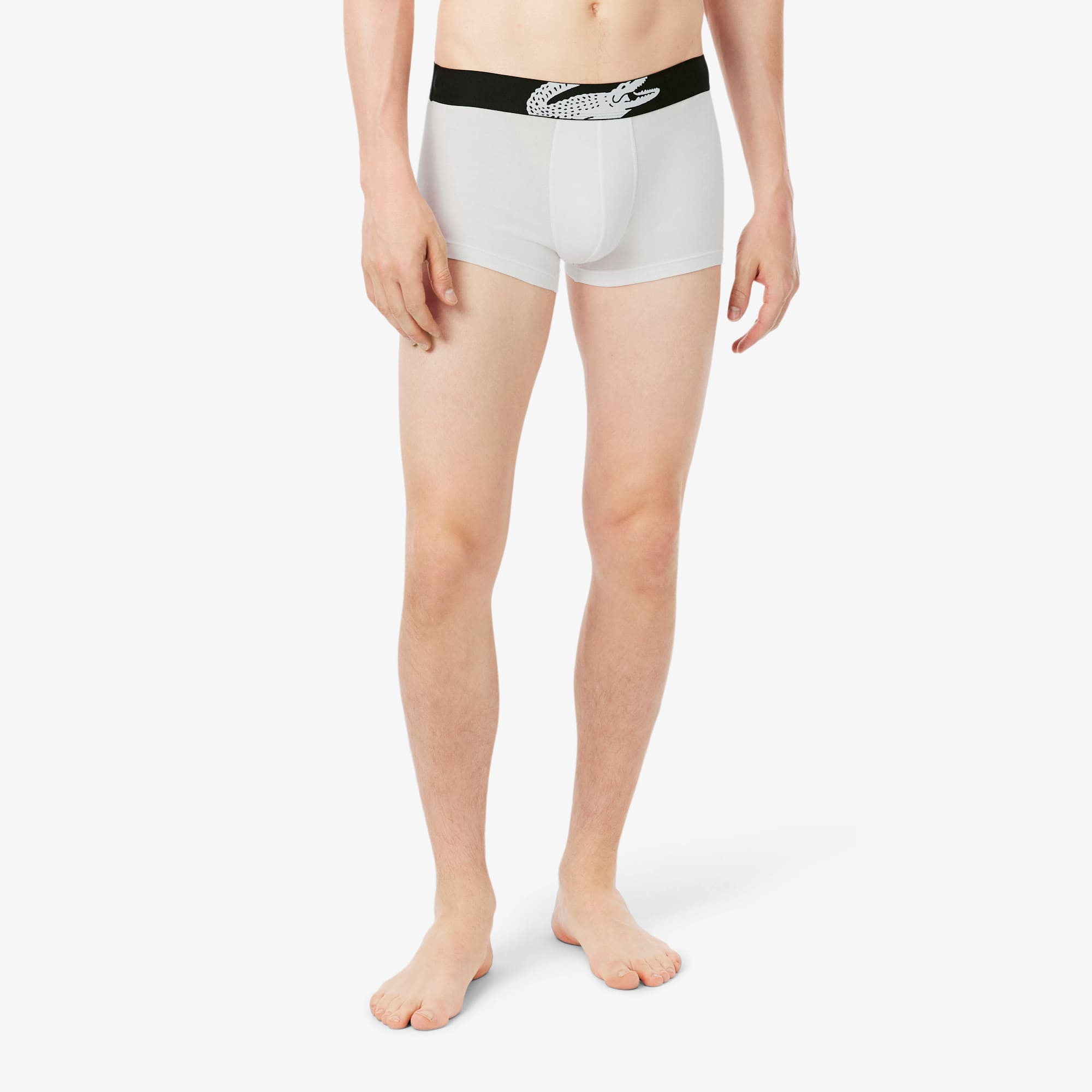 3-Pack Stretch Cotton Trunks
