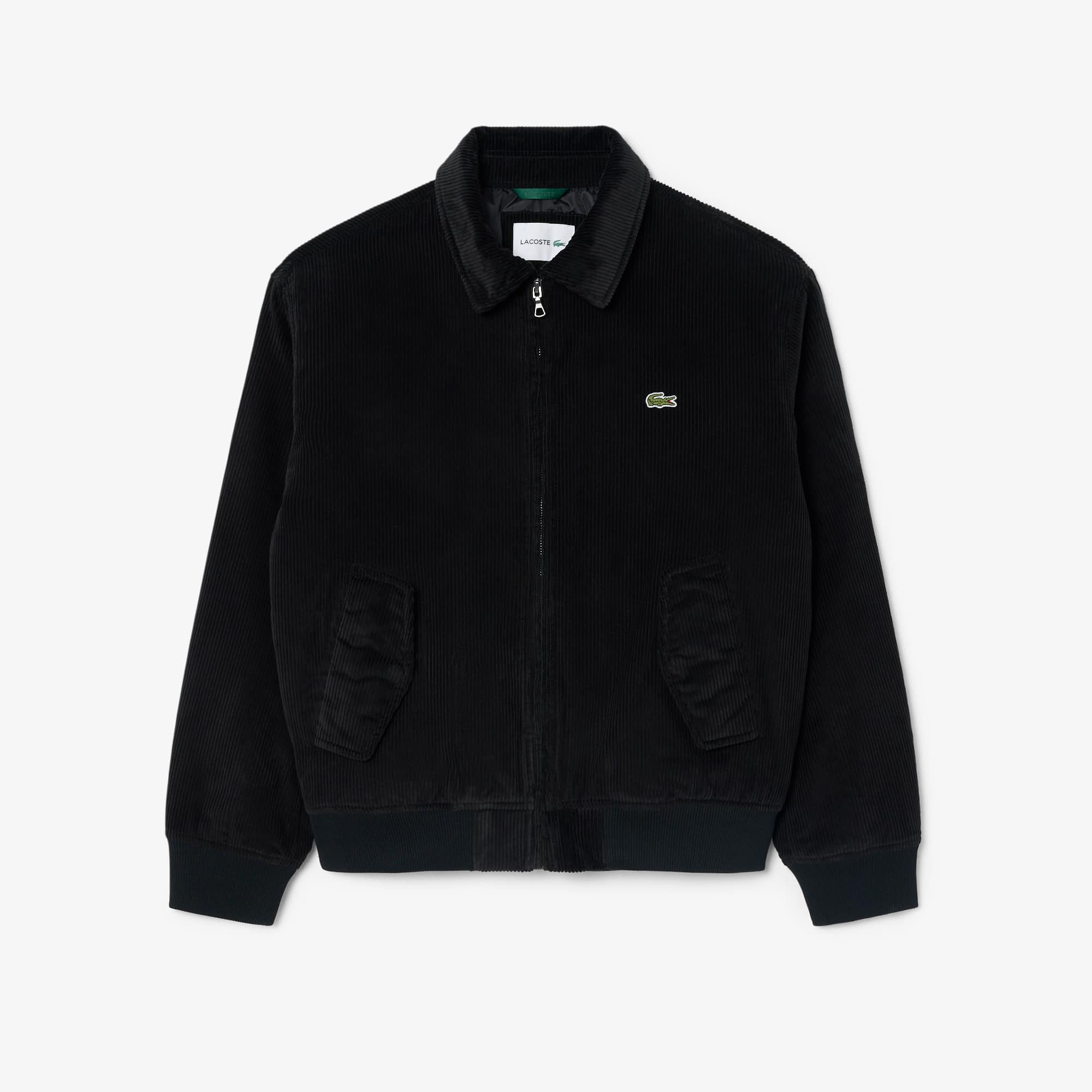 Padded Corduroy Bomber Jacket - Jackets & Coats - New In 2026